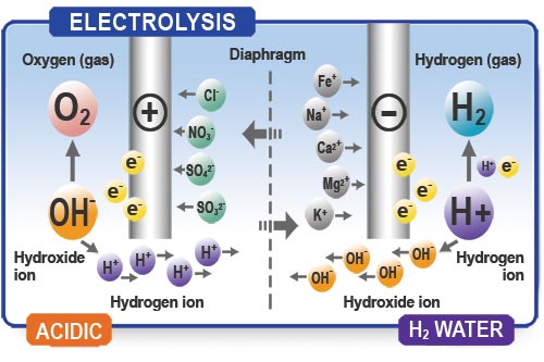 How Ionized Water Works